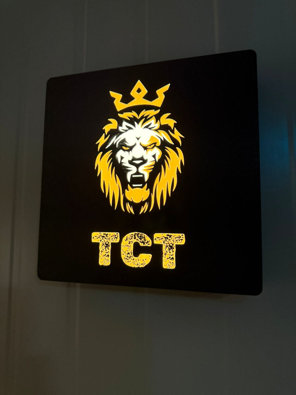 Custom LED Light Box 30x30cm